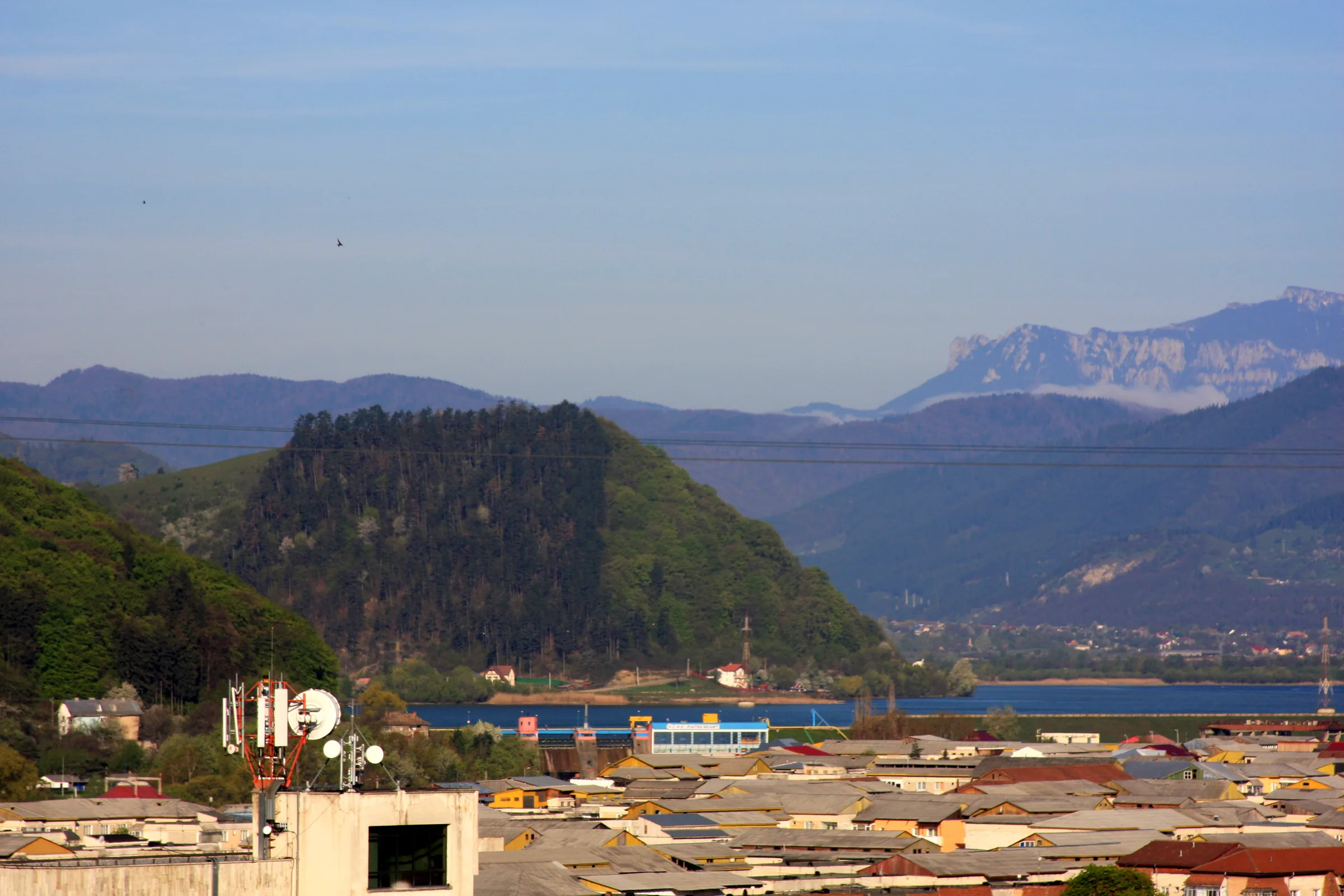 Bâtca Doamnei Hill, wooded on its slope, seen over the rooftops of Piatra-Neamț