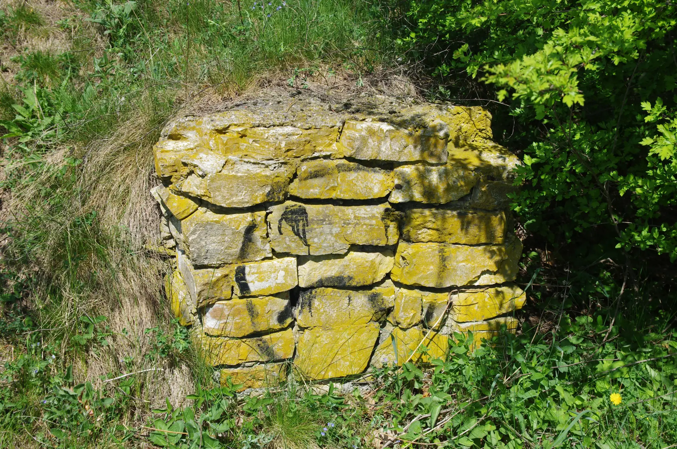A stone wall with yellow lichen, part of the Dacian fortress of Petrodava