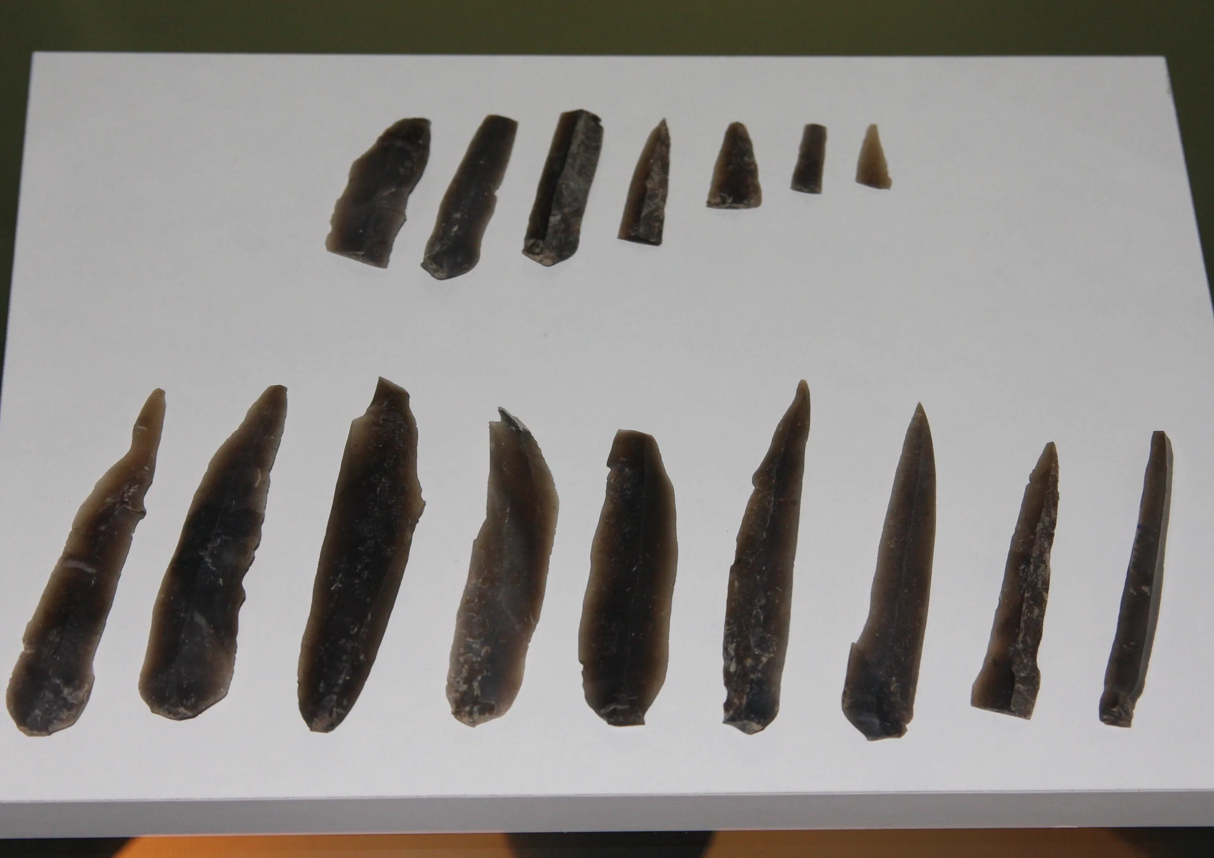 Flint blades laid out on a white ground